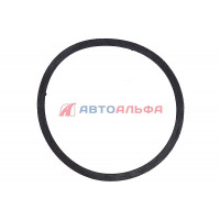 Кольцо насоса водяного КАМАЗ, НЕФАЗ дв. Cummins ISBe, 6ISBe250 3906698 - CAMIDA, 175.113
