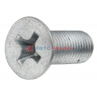 Винт М10x1,25х25 КАМАЗ барабан 43118, 6520, 853352-009