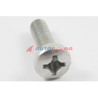 Винт М8х1,25х25 КАМАЗ - БелЗАН, 1/32796/019