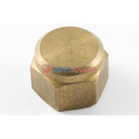Гайка М12х1,25 КАМАЗ глухая, помпы, латунная, 870502-009