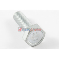 Болт М10х1,25х30 КАМАЗ, ВАЗ, ГАЗ 8.8, 1/13069/219
