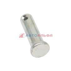 Палец Ф10х32 КАМАЗ, ГАЗ - БелЗАН, 260059-009