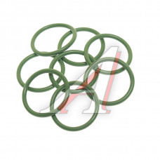 Кольцо уплотнительное форсунки <зеленый силикон>(024-028-25-2-2), 33.1112342, 331112342